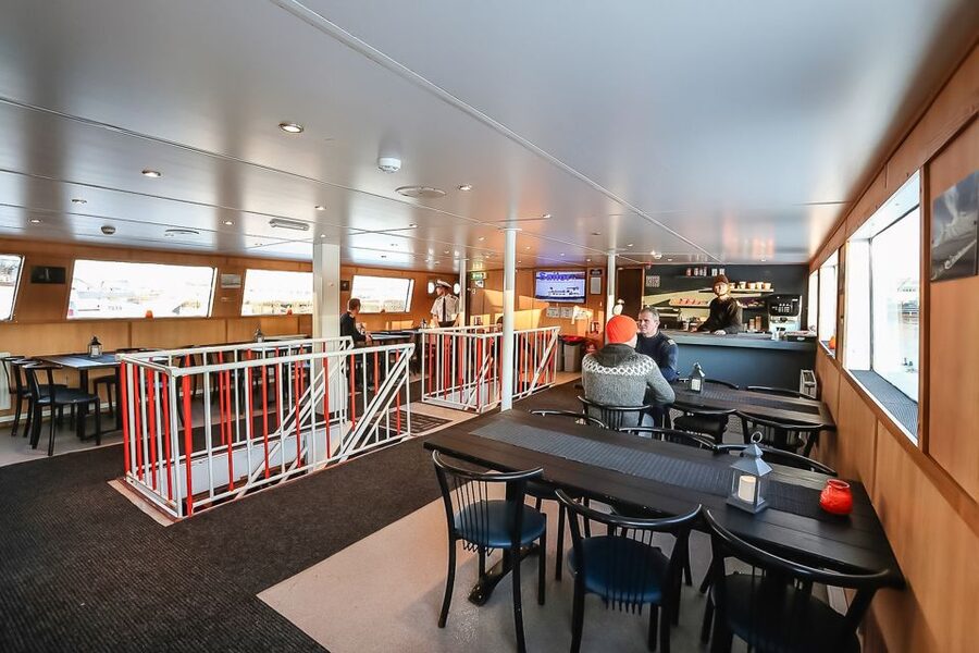 Reykjavík: Whale Watching and Marine Life Cruise - Smart planning tips for a better day