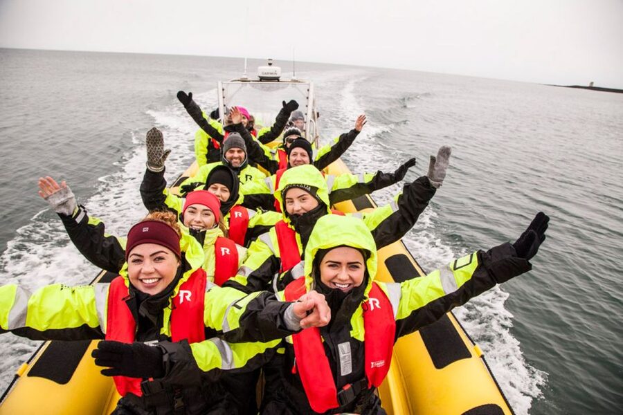 Reykjavik: Whale Watching by RIB Speedboat - Key points at a glance