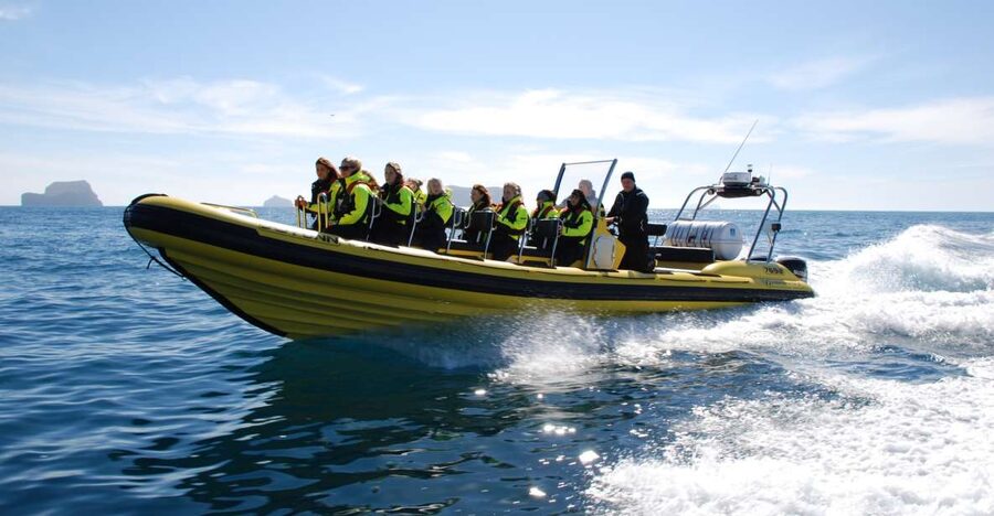Reykjavik: Whale Watching by RIB Speedboat - Leaving Reykjavík’s Old Harbour