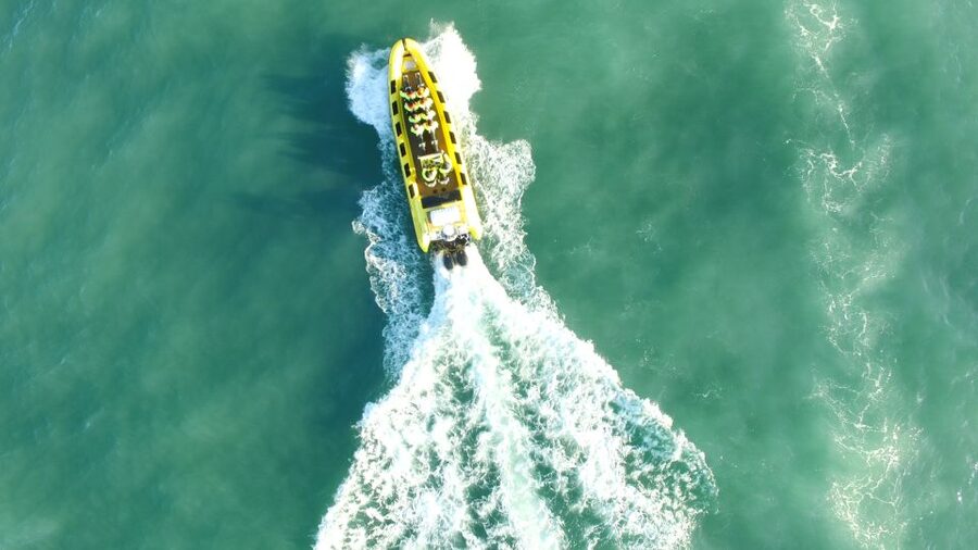 Reykjavik: Whale Watching by RIB Speedboat - Who will enjoy this tour most?