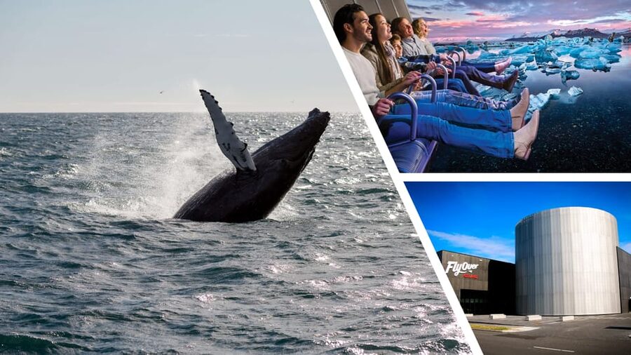 Reykjavík: Whale Watching Cruise and FlyOver Combo Ticket - Staying warm, comfortable, and ready for sightings