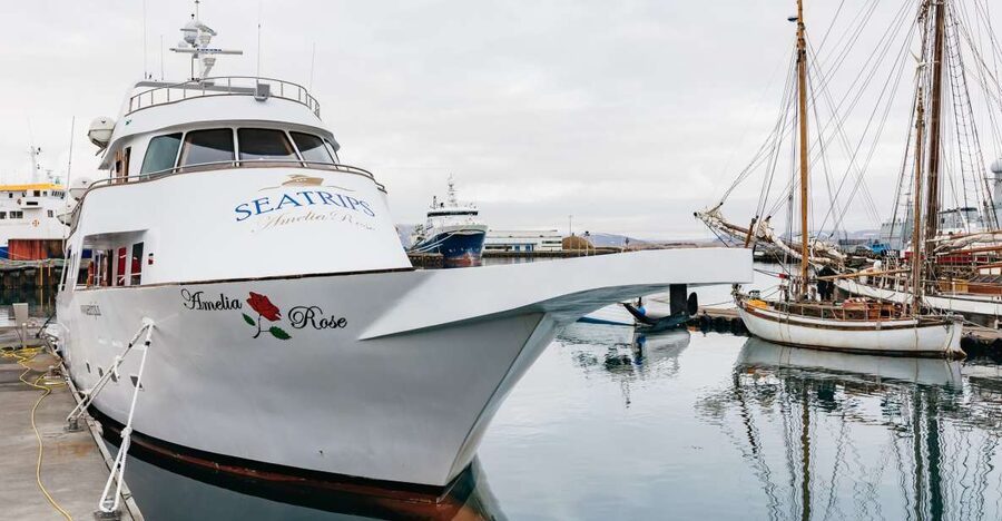 Reykjavík: Whale Watching Cruise on the Amelia Rose Yacht - The first views across Faxaflói Bay