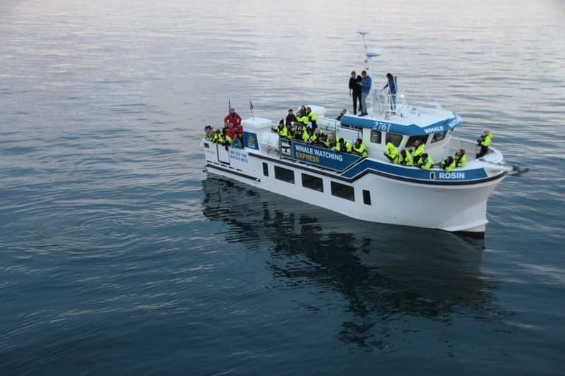 Reykjavik: Whale Watching Express - Leaving Reykjavik’s old harbor on a fast boat