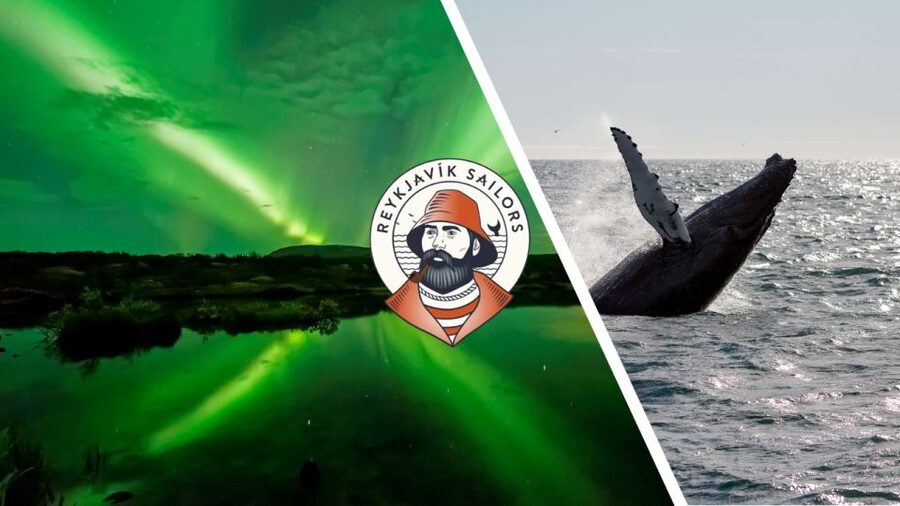 Reykjavik: Whale Watching & Northern Lights Combo Cruise - Key points to know before you book