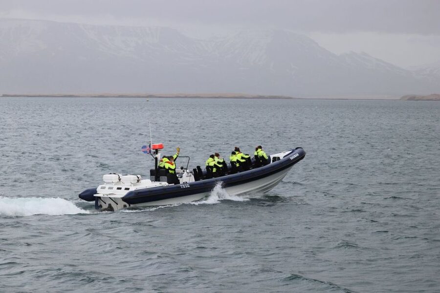 Reykjavik: Whale Watching Tour by RIB Boat - Why the small boat changes the experience
