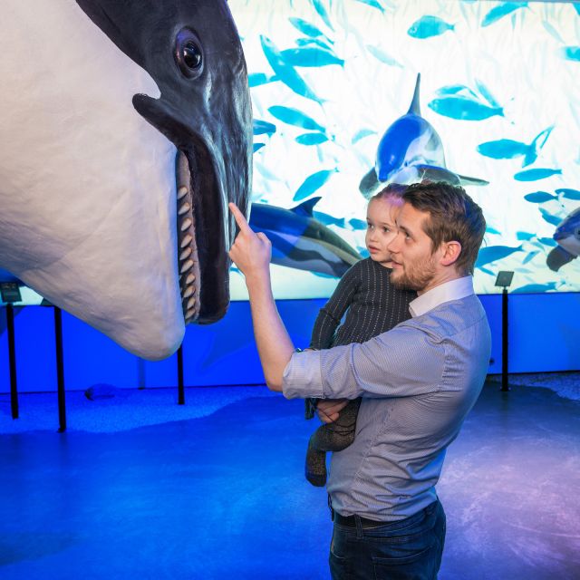 Reykjavik: Whale Watching Tour, Whales of Iceland Exhibition - Key points before you book