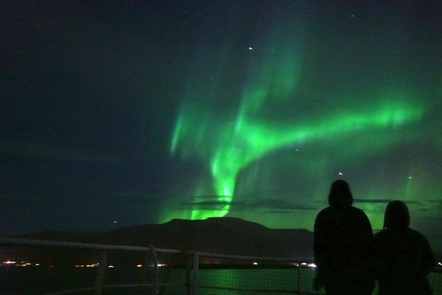 Reykjavik: Whales and Northern Lights Boat Tour - The guides and crew make a real difference