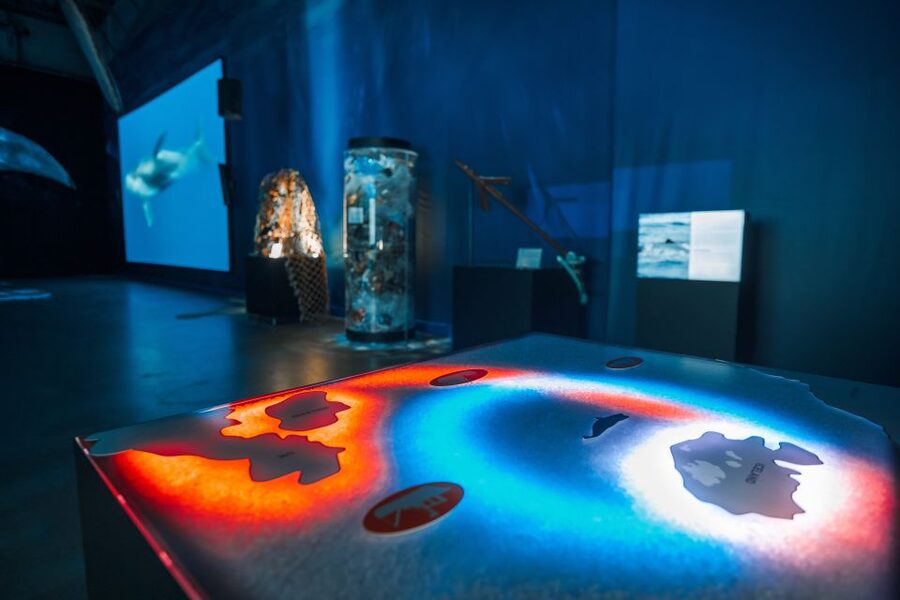 Reykjavik: Whales of Iceland Museum Entrance Ticket - Interactive stations that make the science clearer