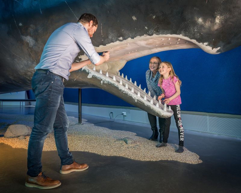 Reykjavik: Whales of Iceland Museum Entrance Ticket - The audio guide in 17 languages