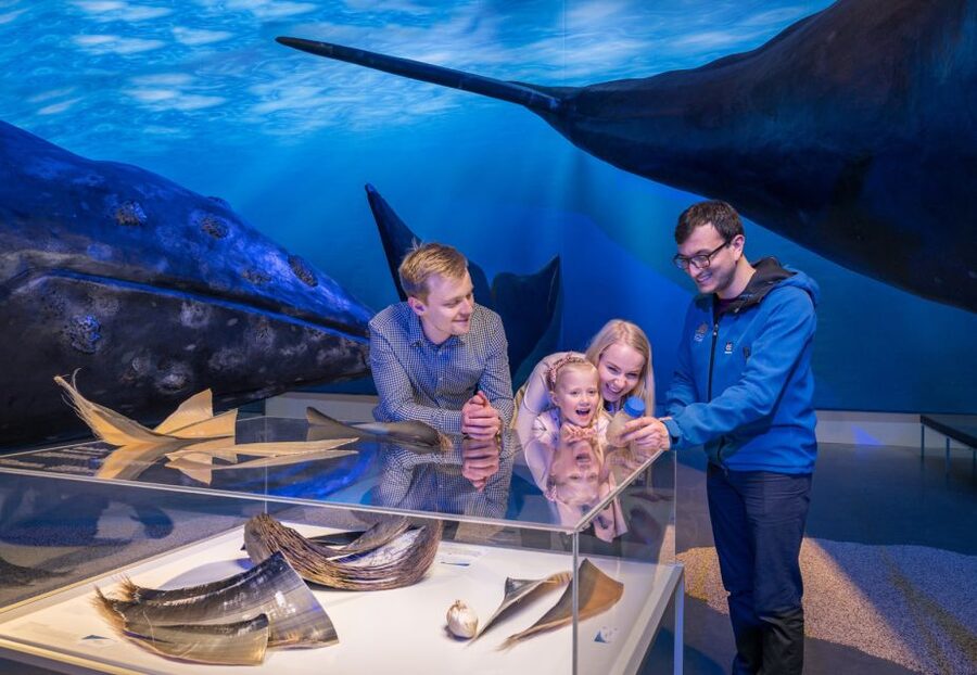 Reykjavik: Whales of Iceland Museum Entrance Ticket - Who will enjoy Whales of Iceland most?