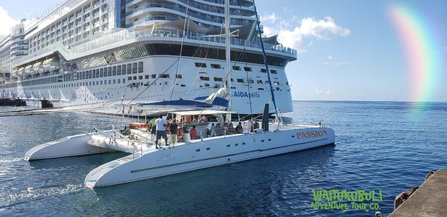Roseau: Guided Dolphin and Whale Watching Tour With Drinks - What the ride feels like in real conditions