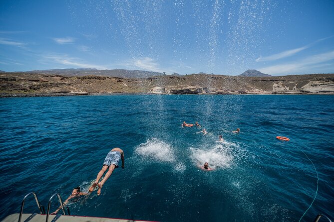 Royal Delfin 3H Dolphin & Whale Watching! Swimming & Lunch! - Swimming at Diego Hernandez Bay