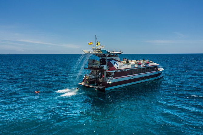 Royal Delfin 3H Dolphin & Whale Watching! Swimming & Lunch! - Who will enjoy this three-hour cruise?