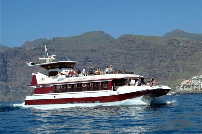 Royal Dolphin Whale watching excursion - Weather, motion sickness, and what to pack