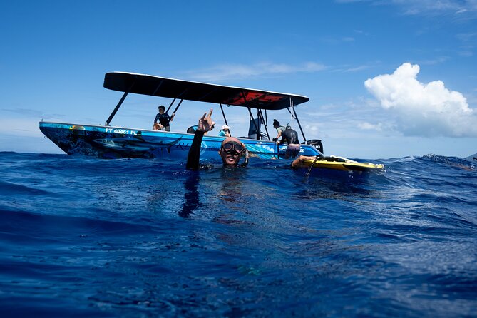 Sacred Experience Swimming with a Whale in Moorea - Why Moorea is a special place for whale watching