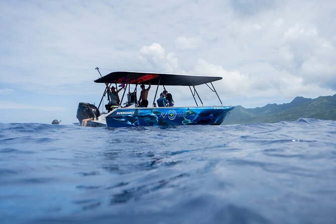 Sacred Experience Swimming with a Whale in Moorea - What the $157.90 price really buys