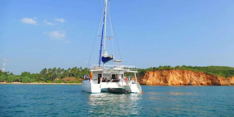 Sail Lanka Charter - Whale Watching Cruise In Mirissa - Watching whales and dolphins from the upper decks