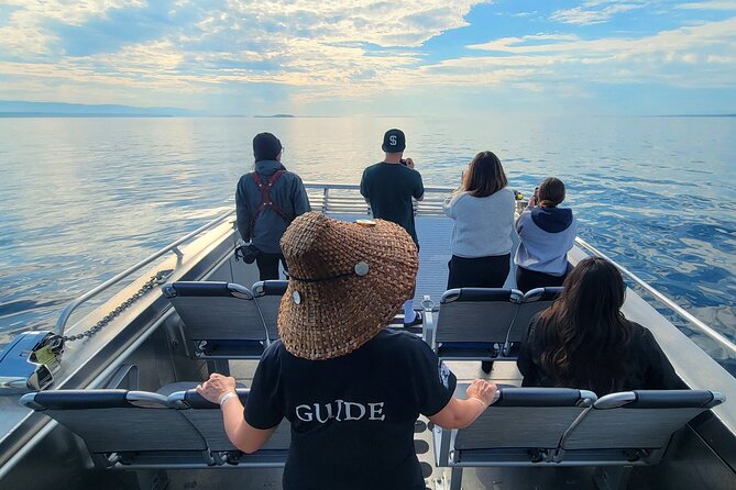 Salish Sea Whale Watching Tour in Campbell River - Weather, timing, and what to expect onboard