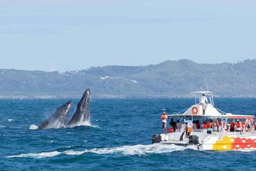 Samana: Bay of Samana Whale Watching Experience - The 30-minute ride across the bay