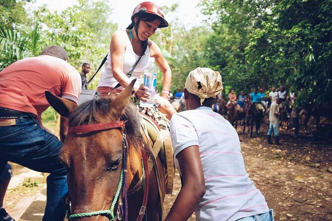 Samaná Experience Whale – The Lemon Waterfall & Bacardi Island - Horseback riding to El Limón Waterfall
