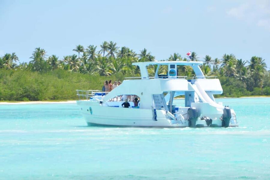Samana: Half Day Whale Watching Humpback Whale Watching - Why Samaná Bay is the right place for whale watching