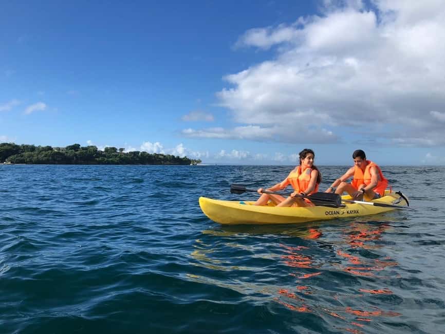 Samaná: Whale, Cayo Levantado, & Kayak in Samaná Bay Tour - Practical booking advice before you commit