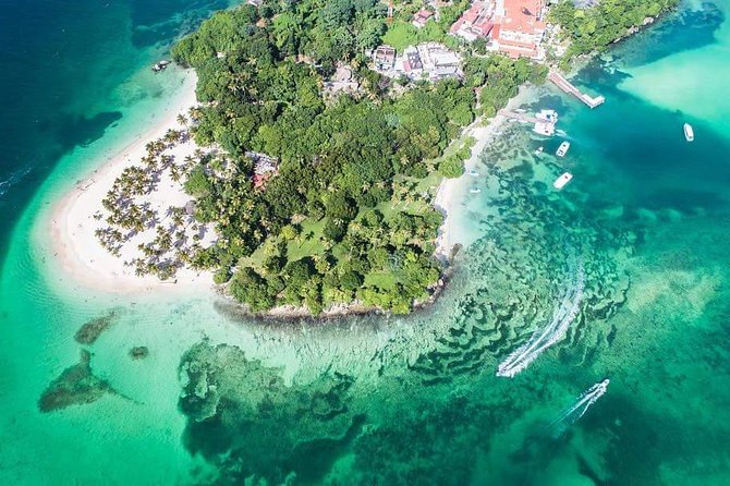 Samana Whale Watching + Cayo Levantado ( Bacardi Island) with Lunch by Locals - Key details before you book