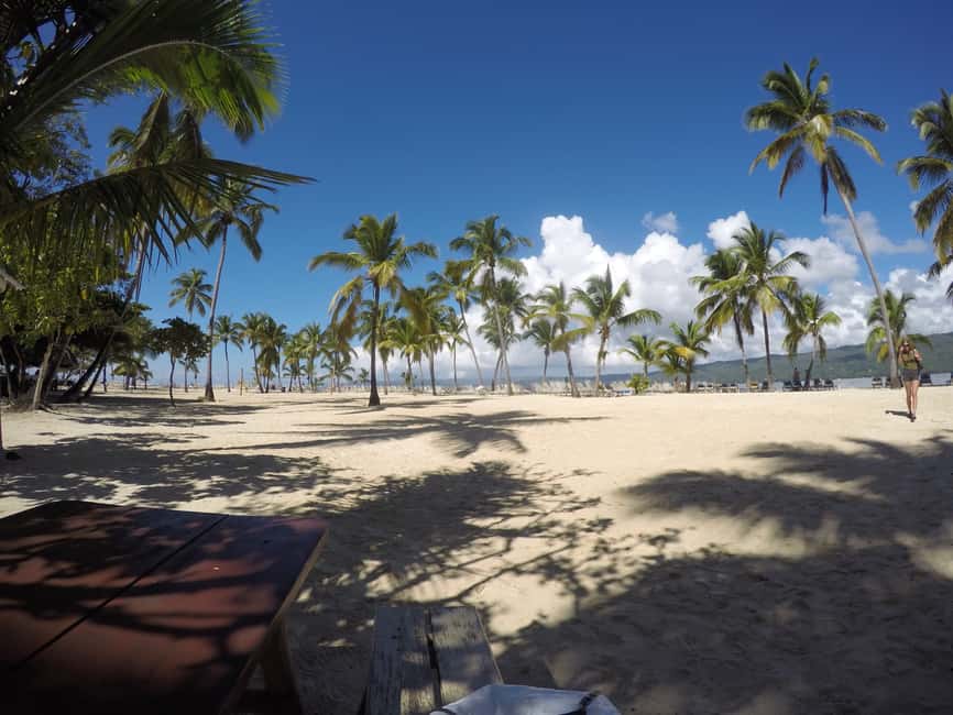 Samana: Whale Watching Tour - What whale watching is really like