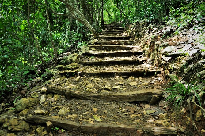 Samaná Whale Watching, waterfall & Cayo Levantado Adventure - A Dominican buffet at the ranch