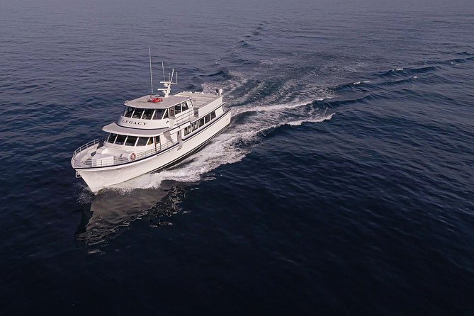 San Diego: 3 Hour Whale Watching Cruise - Key points to know before you sail
