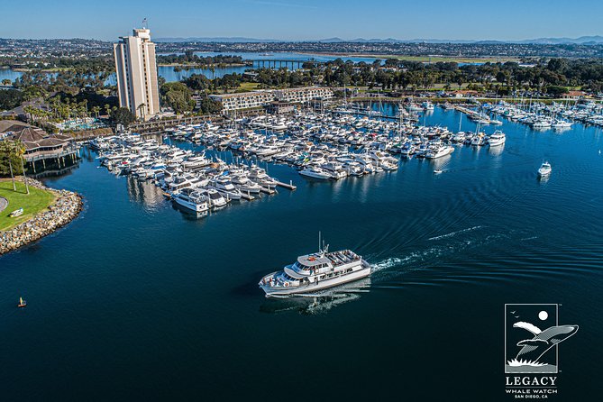 San Diego: 3 Hour Whale Watching Cruise - Leaving Mission Bay with sea lions and seabirds