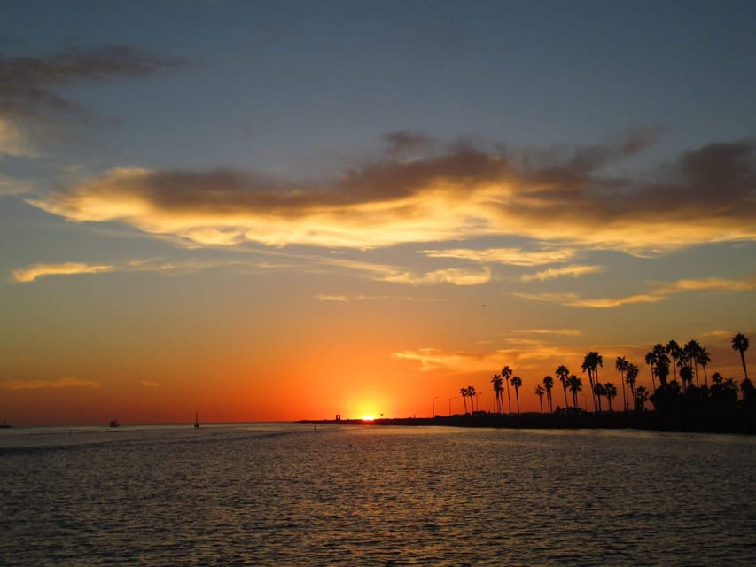 San Diego: Dolphin and Whale-Watching Sunset Cruise - What the San Diego sunset cruise is really like