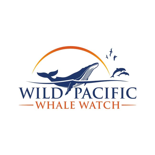 San Diego: Luxury Year-round Whale Watching & Dolphin Tour - Key points at a glance