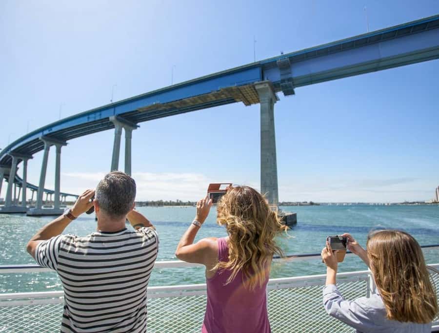 San Diego: Whale and Dolphin Watching Cruise - Who should book this cruise?