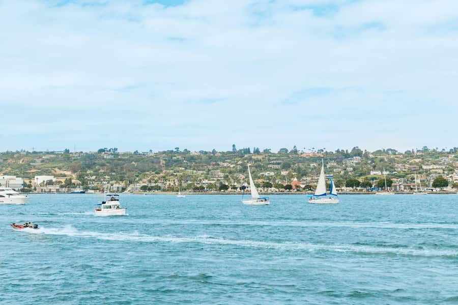 San Diego: Whale and Dolphin Watching Cruise - The onboard narration is a real strength