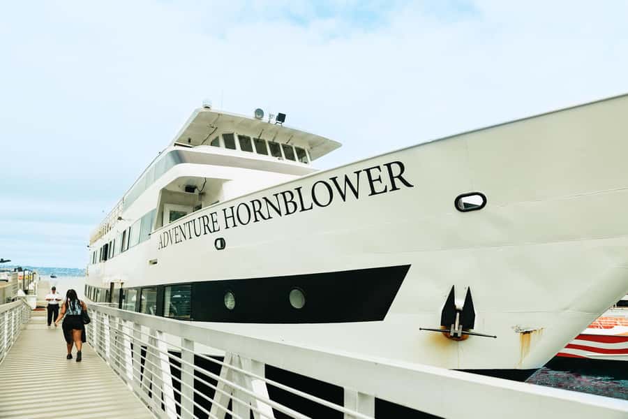 San Diego: Whale and Dolphin Watching Cruise - The whale-or-dolphin guarantee