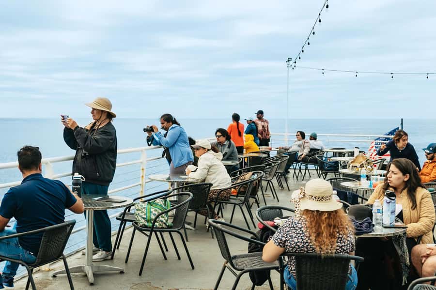 San Diego: Whale and Dolphin Watching Cruise - Is $77 a fair price?
