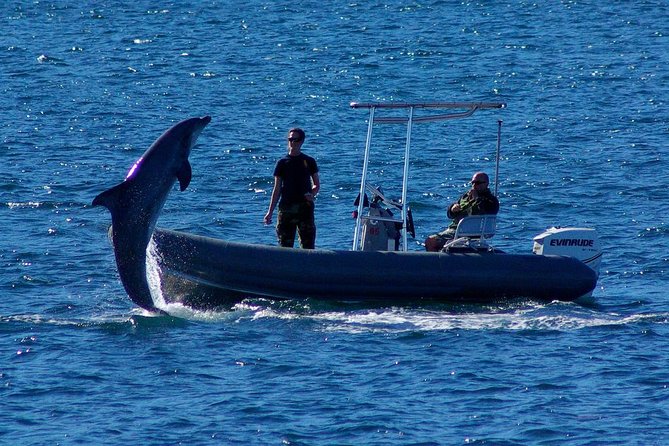 San Diego Whale Watching Cruise - Warm clothes and motion sickness matter
