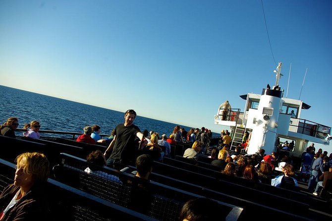 San Diego Whale Watching Cruise - Who will enjoy this cruise most?
