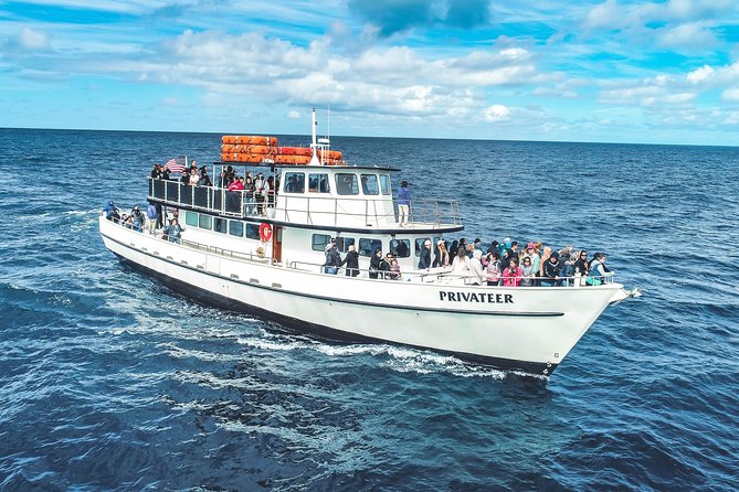 San Diego Whale Watching & Dolphin Cruise - How the captain and naturalists shape the experience