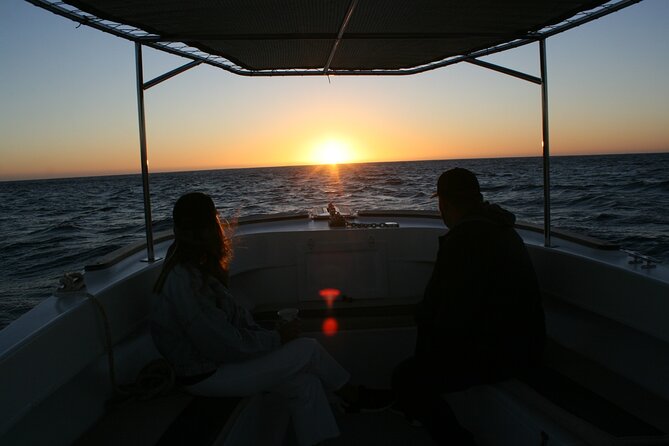 San Jose del Cabo Small-Group Sunrise Whale Watching - Why this sunrise cruise is worth the early alarm