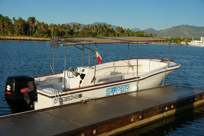 San Jose del Cabo Small-Group Sunrise Whale Watching - What the two-hour itinerary feels like