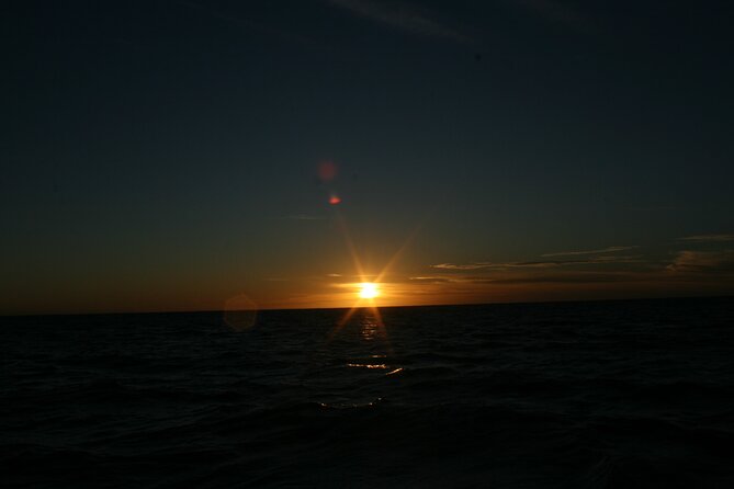 San Jose del Cabo Small-Group Sunrise Whale Watching - Is $99 a fair price?