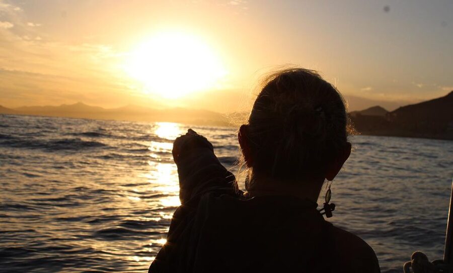 San Jose del Cabo Sunset Whale Watching - Key points to know before you go