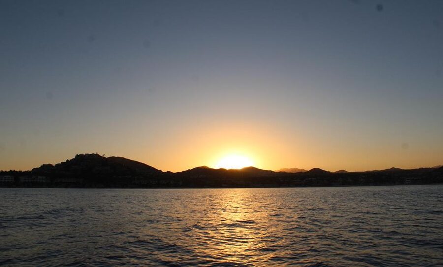 San Jose del Cabo Sunset Whale Watching - What happens during the two-hour outing