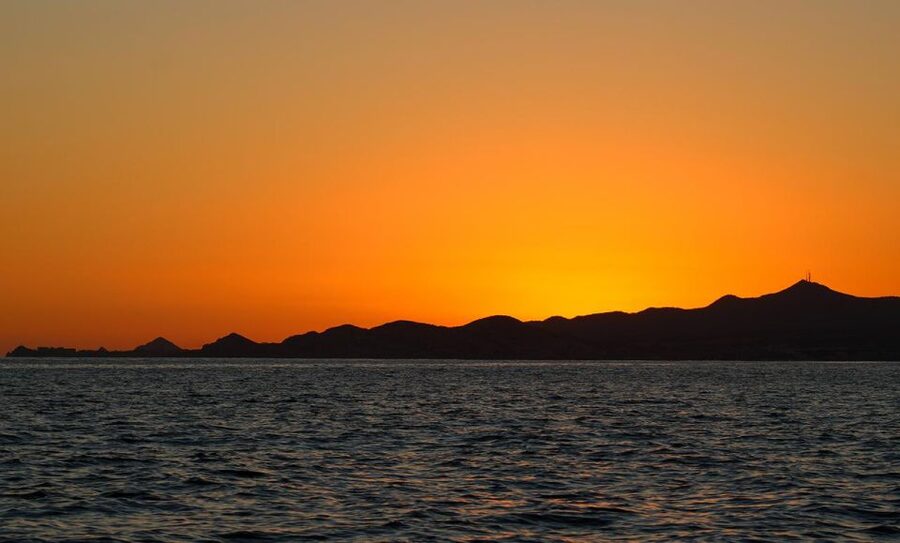 San Jose del Cabo Sunset Whale Watching - Who should book this whale watching experience?