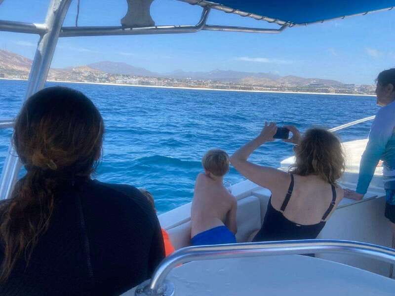 San José del Cabo: Whale Watching Experience - A realistic look at whale sightings