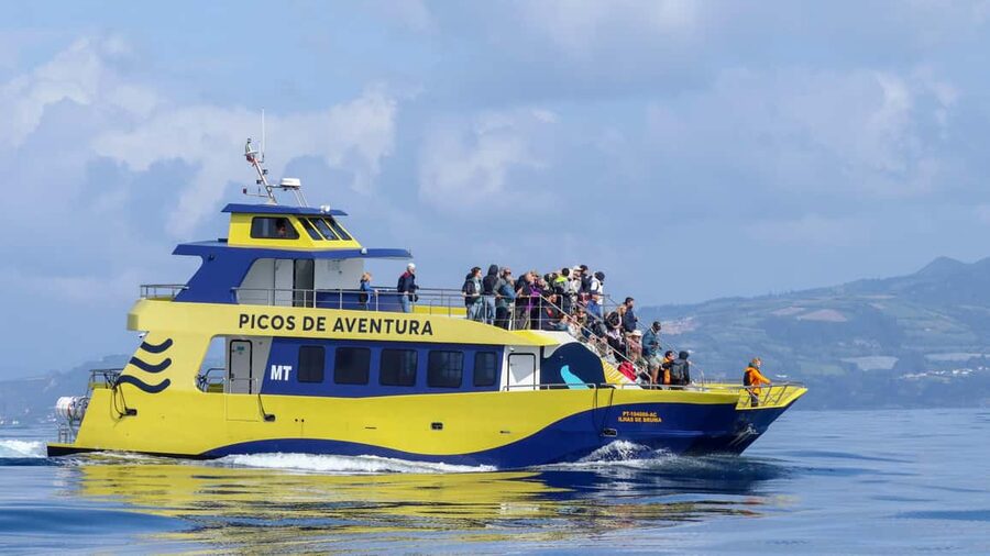 São Miguel: Whale-Watching Cruise with Marine Biologist - From the Ponta Delgada marina to open water