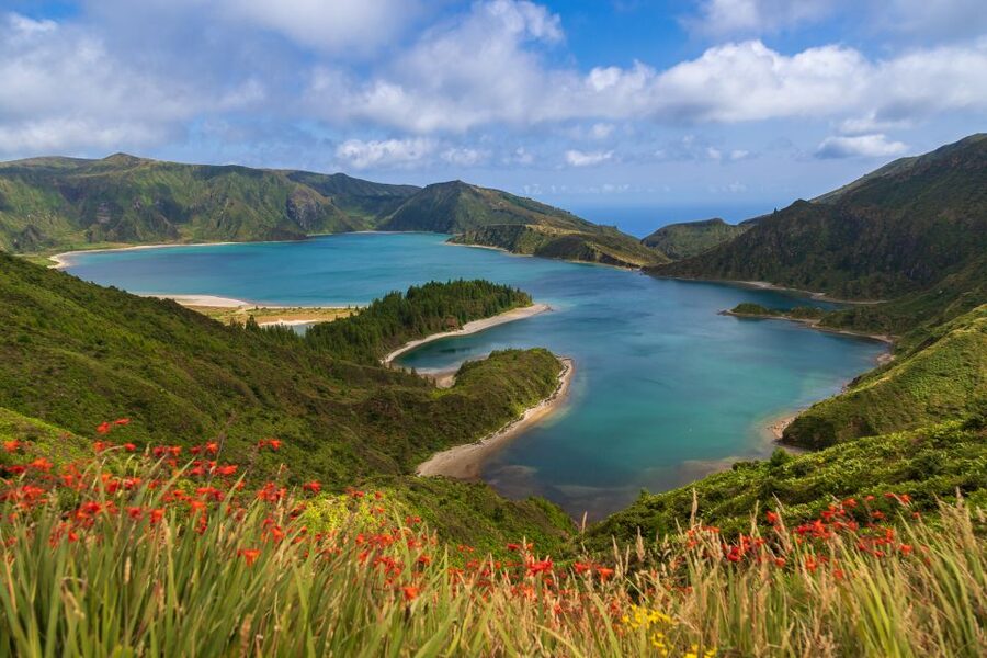 São Miguel: Whales & Volcano Full-Day Tour with Lunch - Key things to know before booking
