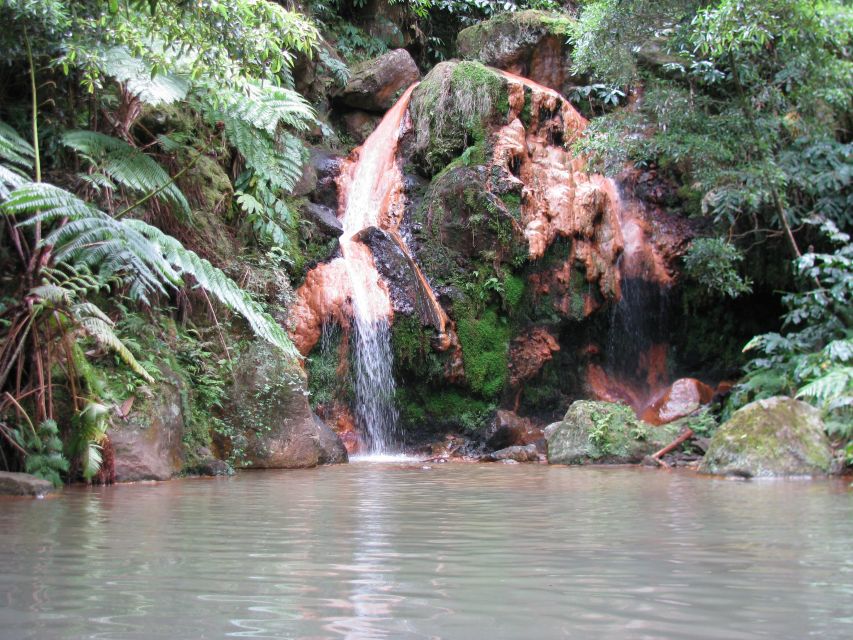 São Miguel: Whales & Volcano Full-Day Tour with Lunch - Who should book this tour?